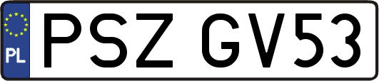 PSZGV53