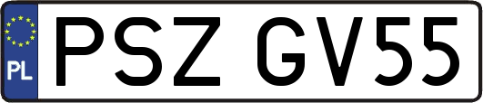 PSZGV55