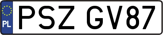 PSZGV87