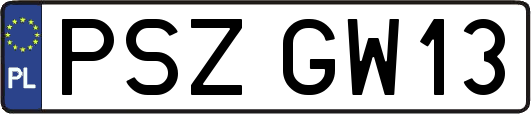 PSZGW13