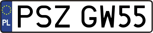 PSZGW55