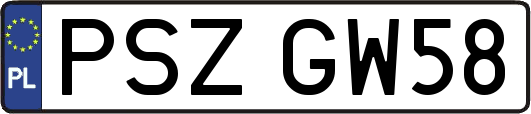 PSZGW58