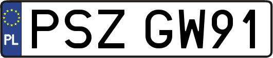 PSZGW91