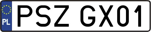 PSZGX01