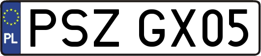 PSZGX05