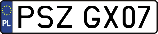 PSZGX07
