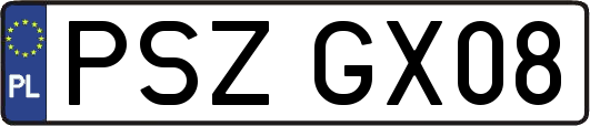 PSZGX08