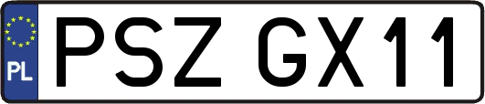 PSZGX11