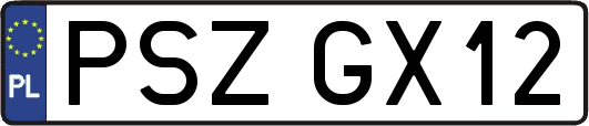PSZGX12