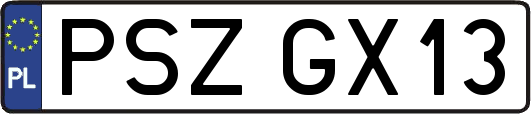 PSZGX13