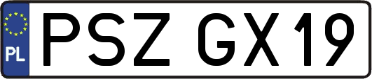 PSZGX19