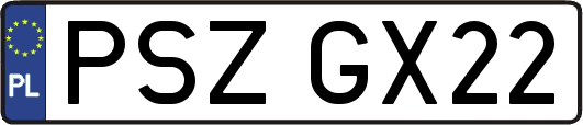 PSZGX22