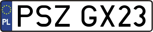 PSZGX23