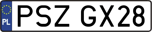 PSZGX28