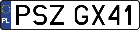 PSZGX41