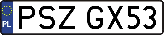 PSZGX53