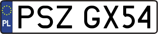 PSZGX54