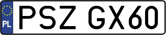 PSZGX60