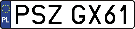 PSZGX61