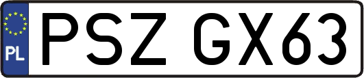 PSZGX63