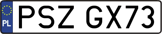 PSZGX73