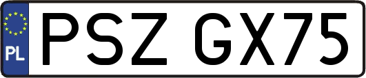 PSZGX75