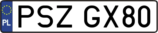 PSZGX80