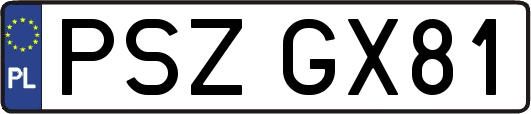 PSZGX81