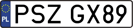 PSZGX89