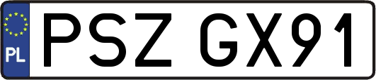PSZGX91