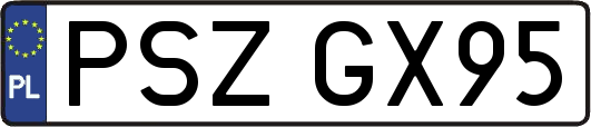 PSZGX95