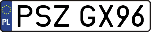 PSZGX96