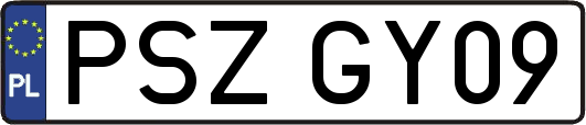 PSZGY09