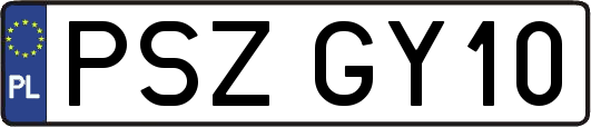 PSZGY10