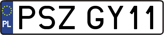 PSZGY11