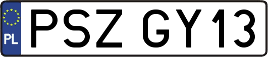 PSZGY13