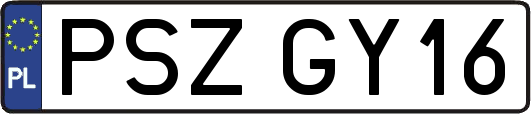 PSZGY16