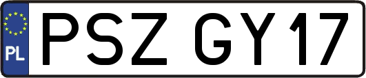 PSZGY17