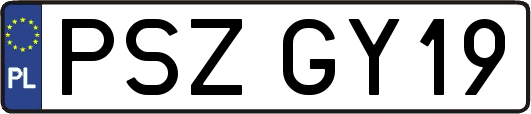 PSZGY19