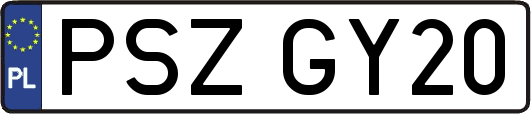 PSZGY20