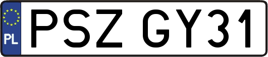 PSZGY31