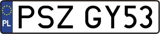 PSZGY53