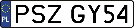 PSZGY54