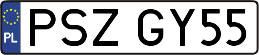 PSZGY55