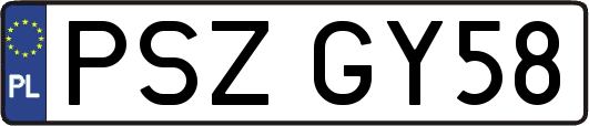 PSZGY58