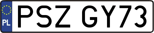 PSZGY73