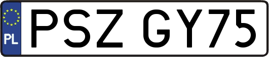 PSZGY75