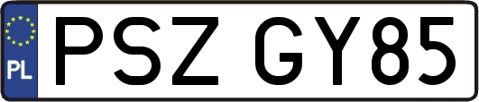 PSZGY85