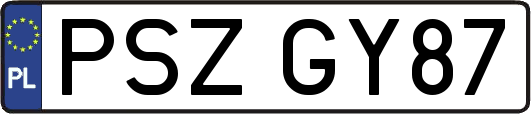 PSZGY87