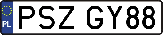 PSZGY88